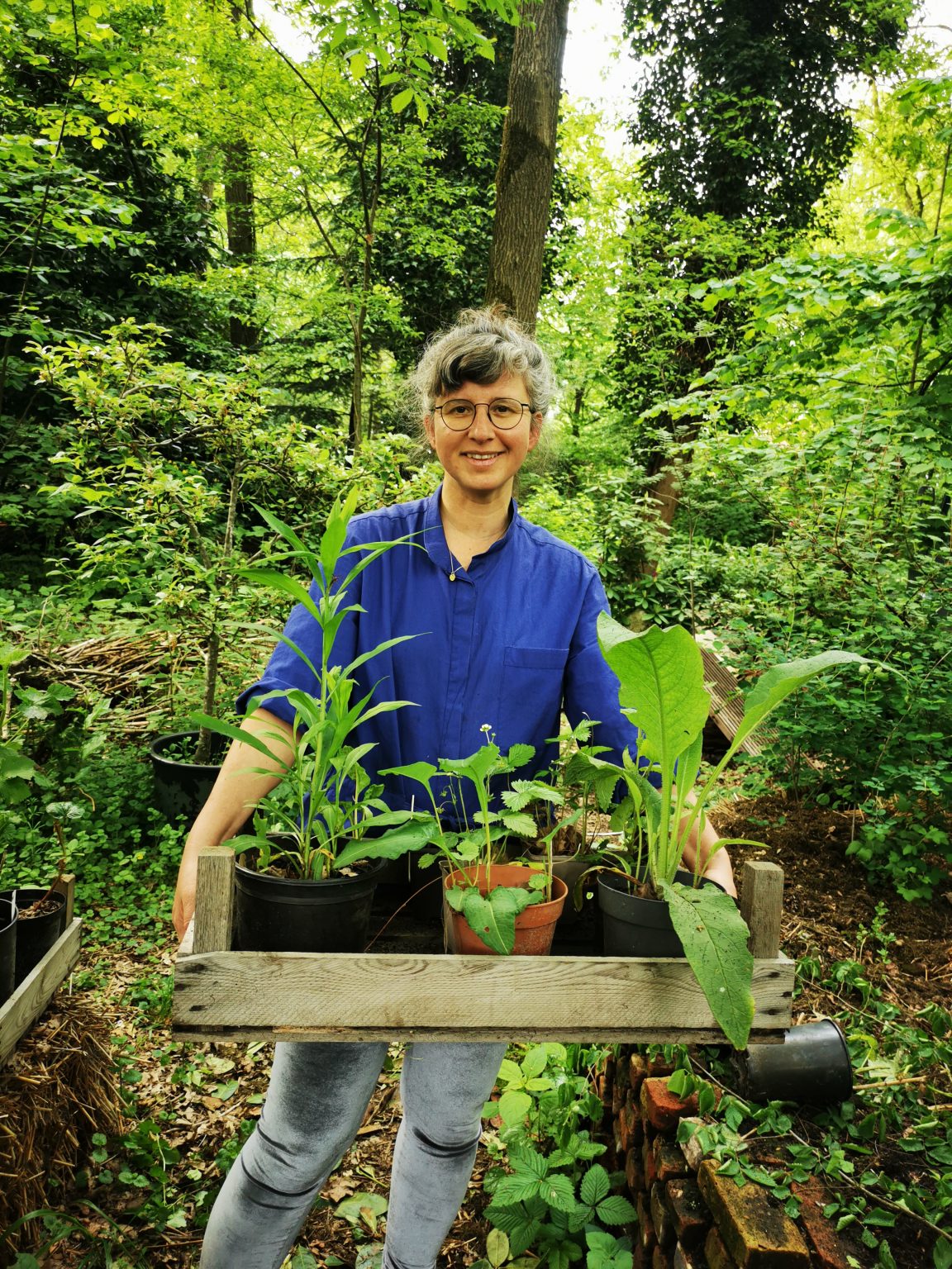 voedselbos planten pakket